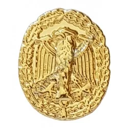 APPLIQUE INSIGNE DE SPECIALITÉ CLASSE OR (Allemagne) - - Achetez votre APPLIQUE INSIGNE DE SPECIALITÉ CLASSE OR (Allemagne) - M