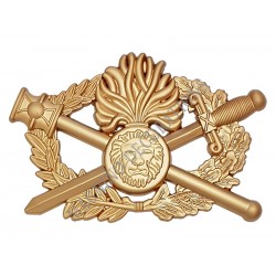 INSIGNE BREVET DIPLÔME D'ARME SUPERIEUR - 630096 - Achetez votre INSIGNE BREVET DIPLÔME D'ARME SUPERIEUR - Magnino Décorations -