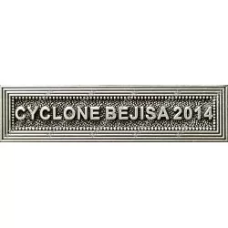 Agrafe CYCLONE BEJISA 2014 classe Argent ordonnance - 210409 - Achetez votre Agrafe CYCLONE BEJISA 2014 classe Argent ordonnance