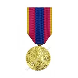 Médaille de la Défense Nationale Classe Or Ordonnance - 110051 - Achetez votre Médaille de la Défense Nationale Classe Or Ordonn