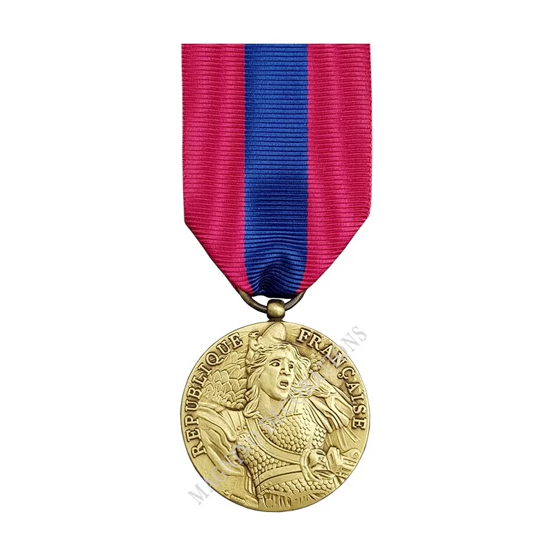 Médaille de la Défense Nationale Classe Bronze Ordonnance - 110049 - Achetez votre Médaille de la Défense Nationale Classe Bronz