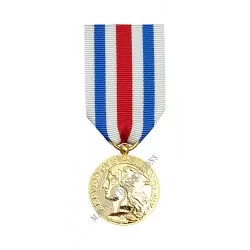 médaille des service de santé des armées classe vermeil - 110830 - Achetez votre médaille des service de santé des armées classe