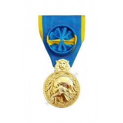 MEDAILLE DE LA JEUNESSE, DES SPORTS ET ENGAGEMENT ASSOCIATIF CLASSE OR