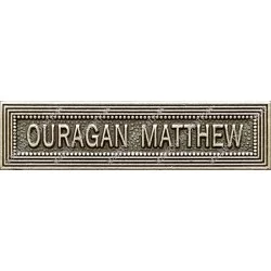 Agrafe OURAGAN MATTHEW classe Argent ordonnance - 210483 - Achetez votre Agrafe OURAGAN MATTHEW classe Argent ordonnance - Magni