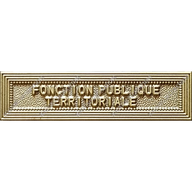 Agrafe FONCTION PUBLIQUE TERRITORIALE classe Bronze ordonnance - 210330 - Achetez votre Agrafe FONCTION PUBLIQUE TERRITORIALE cl