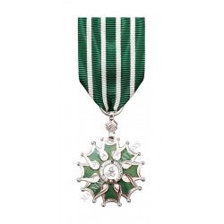 Médaille Chevalier de l'Ordre des Arts et des lettres, Bronze Argenté