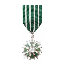 Médaille Chevalier de l'Ordre des Arts et des lettres, Ordonnance, Bronze Argenté - 110007 - Achetez votre Médaille Chevalier de