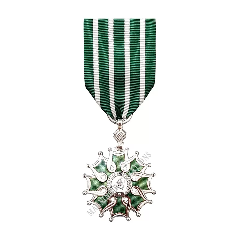 Médaille Chevalier de l'Ordre des Arts et des lettres, Ordonnance, Bronze Argenté - 110007 - Achetez votre Médaille Chevalier de