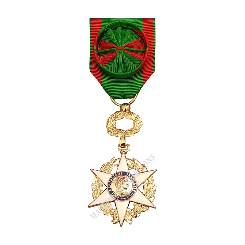 Médaille Officier de l'Ordre du Mérite Agricole, Ordonnance, Bronze Doré - 110091 - Achetez votre Médaille Officier de l'Ordre d