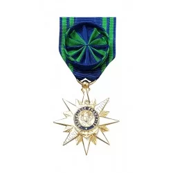 Médaille Officier de l'Ordre du Mérite Maritime, Ordonnance, Bronze Doré - 110097 - Achetez votre Médaille Officier de l'Ordre d