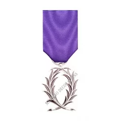 Médaille Chevalier de l'Ordre des Palmes Académiques, Ordonnance, Bronze Argenté - 110121 - Achetez votre Médaille Chevalier de 
