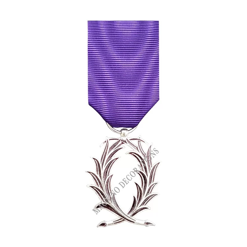Médaille Chevalier de l'Ordre des Palmes Académiques, Ordonnance, Bronze Argenté - 110121 - Achetez votre Médaille Chevalier de 