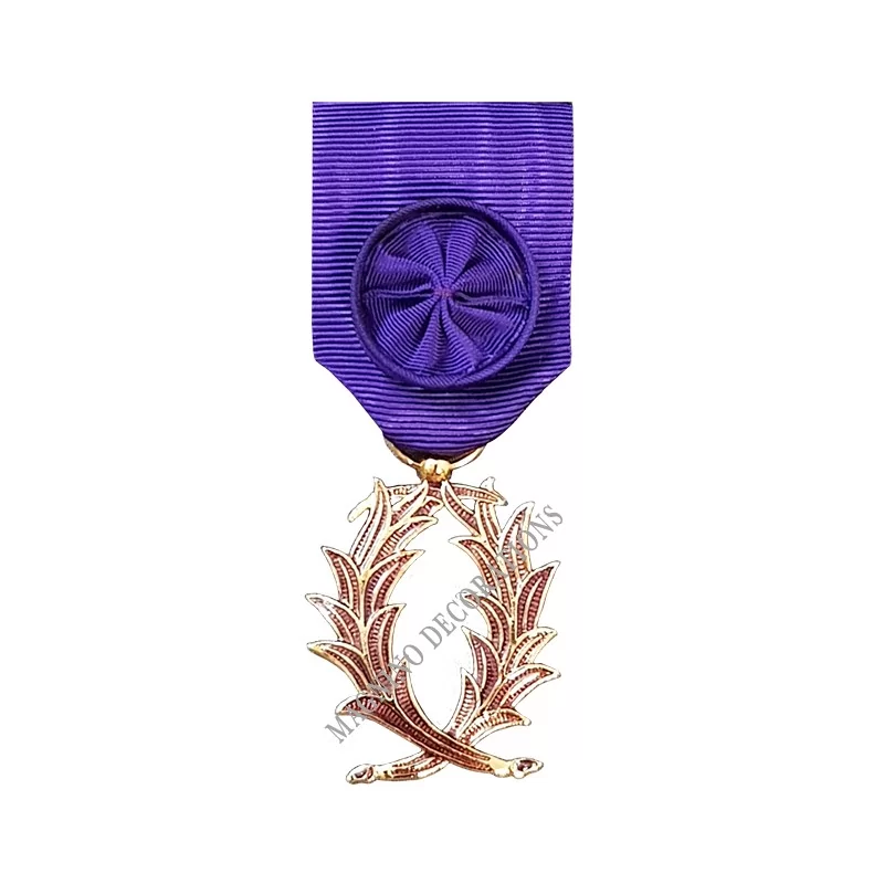 Médaille Officier de l'Ordre des Palmes Académiques, Ordonnance, Bronze Doré - 110123 - Achetez votre Médaille Officier de l'Ord
