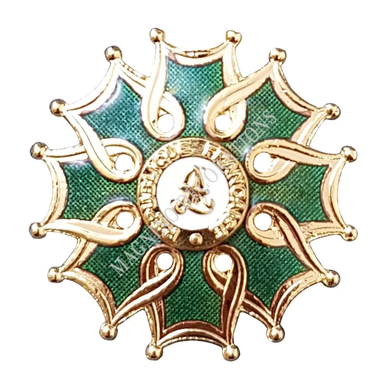 Pin's boutonnière, Officier de l'Ordre des Arts et des Lettres - 650074 - Achetez votre Pin's boutonnière, Officier de l'Ordre d
