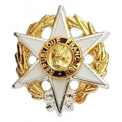 Pin's boutonnière, Chevalier de l'Ordre du Mérite Agricole - 650065 - Achetez votre Pin's boutonnière, Chevalier de l'Ordre du M