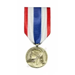 MEDAILLE DE LA PROTECTION MILITAIRE DU TERRITOIRE