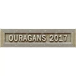 Agrafe OURAGAN 2017 classe Argent ordonnance - 210471 - Achetez votre Agrafe OURAGAN 2017 classe Argent ordonnance - Magnino Déc
