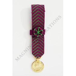 Médaille d'honneur de la protection judiciaire de la jeunesse classe or réduction