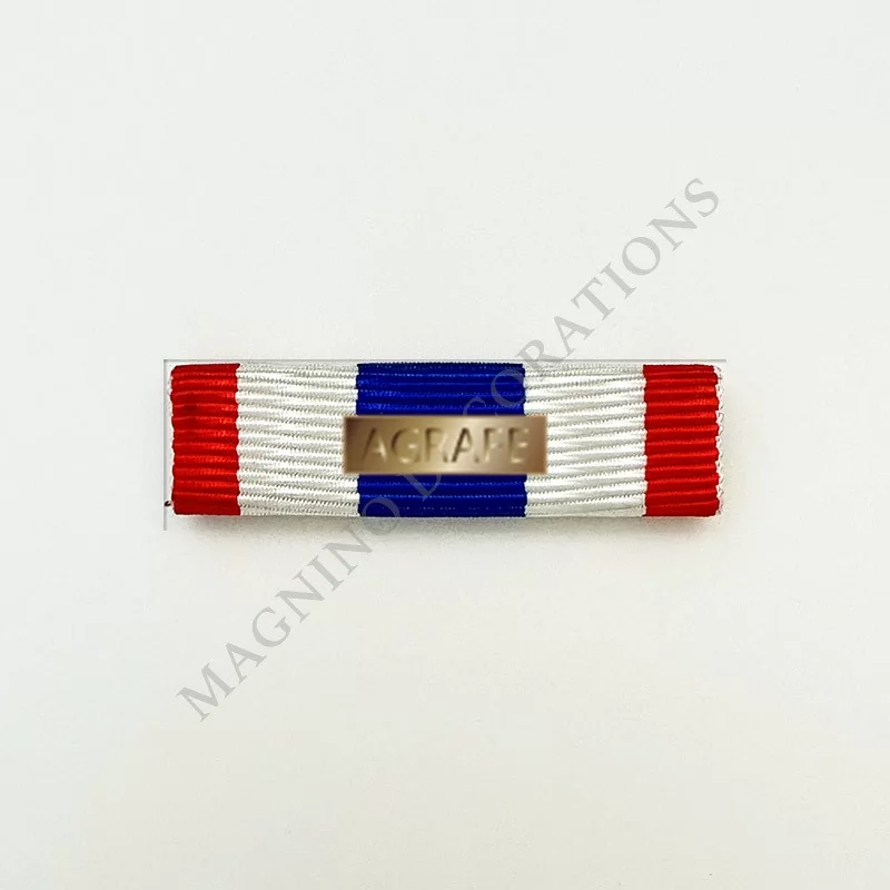 Barrette dixmude, médaille de la protection militaire du territoire avec agrafe