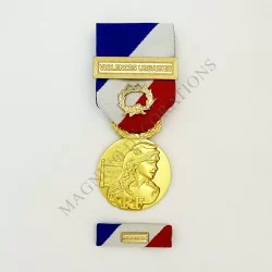PACK VIOLENCES URBAINES DE LA MEDAILLE DE LA SECURITE INTERIEURES CLASSE OR AVERS