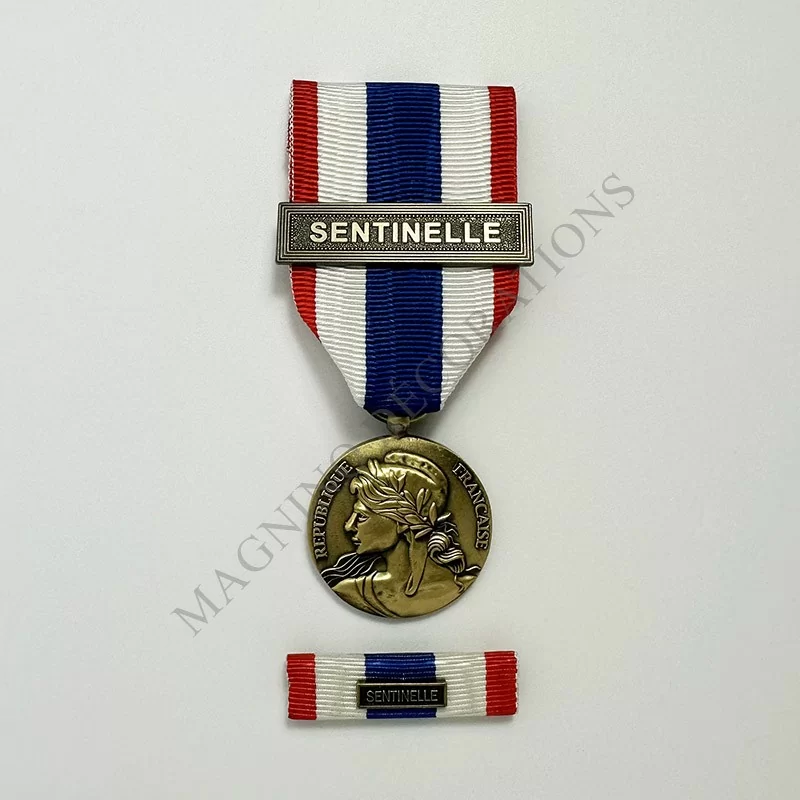 PACK PMT SENTINELLE MEDAILLE + DIXMUDE