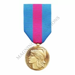 SERVICE MILITAIRE VOLONTAIRE CLASSE BRONZE