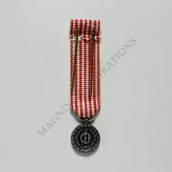 Commémorative de la campagne d'Italie 1943/1944 réduction revers