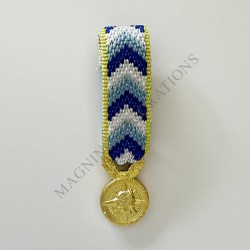 Médaille de l'engagement ultramarin classe or réduction avers