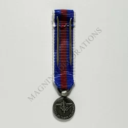 SERVICE MILITAIRE VOLONTAIRE CLASSE ARGENT REDUCTION REVERS