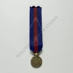 SERVICE MILITAIRE VOLONTAIRE CLASSE BRONZE REDUCTION REVERS