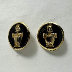 INSIGNES DE COLLET GENIE