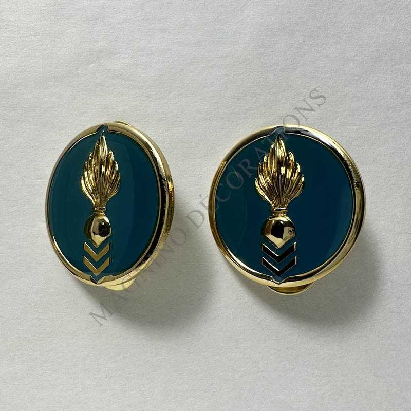 INSIGNES DE COLLET GSEM CTA