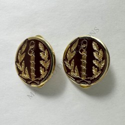 INSIGNES DE COLLET SERVICE DE SANTE MEDECIN AVERS