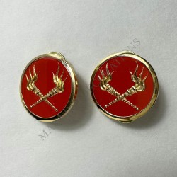 INSIGNES DE COLLET SERVICE DES ESSENCES AVERS