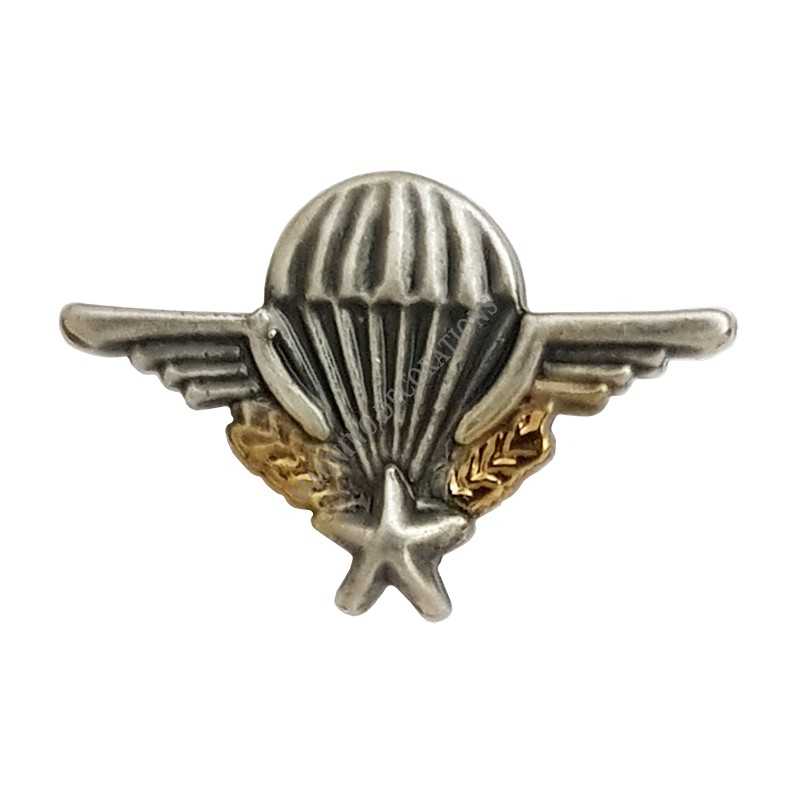 PIN'S BREVET PARA