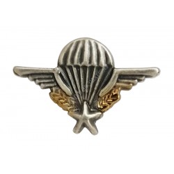 PIN'S BREVET PARA MINI