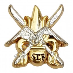 PIN'S SER 2° REP