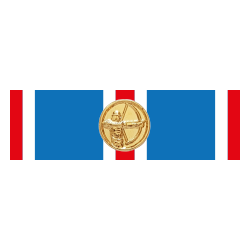 BARRETTE DIXMUDE NAIS