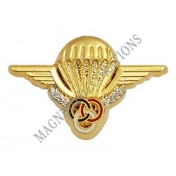 PIN'S BREVET PARA MONITEUR