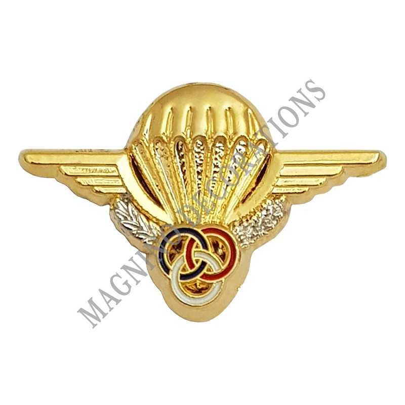 PIN'S BREVET PARA MONITEUR