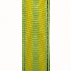 Coupe de ruban de l'étoile de la vaillance de Djibouti