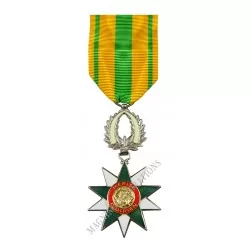 CHEVALIER DE L'ORDRE DU MERITE DE LA REPUBLIQUE DE COTE D'IVOIRE - 110346 - Achetez votre CHEVALIER DE L'ORDRE DU MERITE DE LA R