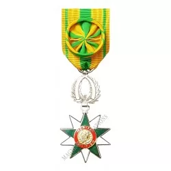 OFFICIER DE L'ORDRE MERITE DE LA REPUBLIQUE DE COTE D'IVOIRE - 110471 - Achetez votre OFFICIER DE L'ORDRE MERITE DE LA REPUBLIQU