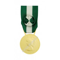 MEDAILLE D'HONNEUR REGIONALE, DEPARTEMENTALE ET COMMUNALE 35 ANS EN VERMEIL