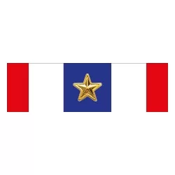 Médaille d'honneur de la police 30 ans - - Achetez votre Médaille d'honneur de la police 30 ans - Magnino Décorations - Vente d