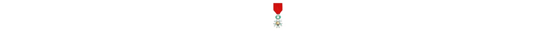 Achetez Médailles Ordre National de la Légion d'Honneur - Magnino Décorations - Vente de Médailles et Décorations